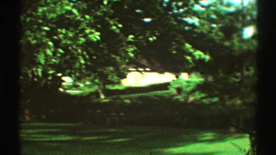 Soft 8mm frame of Los Angeles suburban greenery, with trees, shrubs, lawn, and a bright low structure partly obscured by foliage.