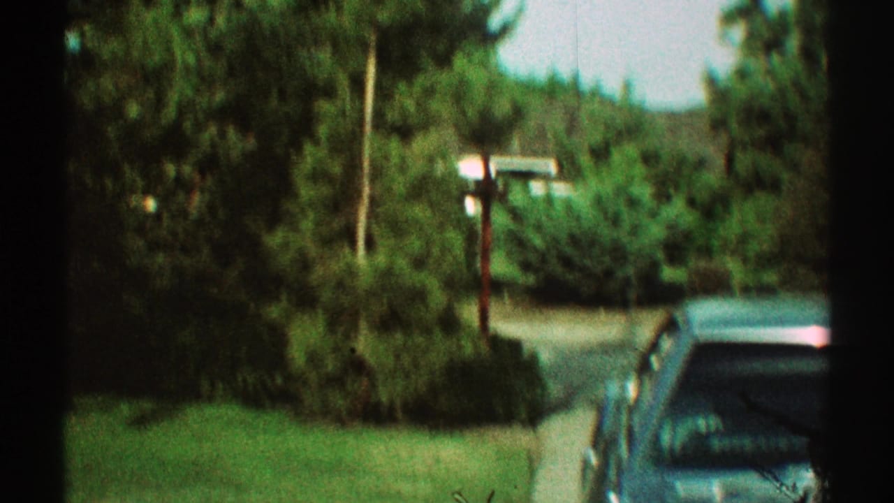 Blue car partly seen in a driveway beside lawns, shrubs, trees, and utility poles.