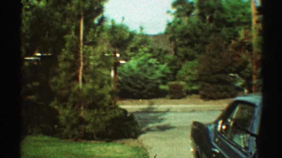 1969 Los Angeles suburban street view with dense greenery, driveway pavement, utility poles, and a parked car cropped at the right edge.