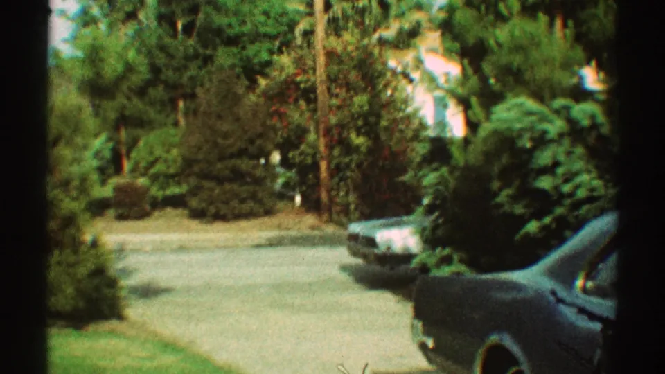 1969 Los Angeles suburban view showing driveway pavement, a quiet street, thick trees and shrubs, and cropped parked cars at the frame edges.