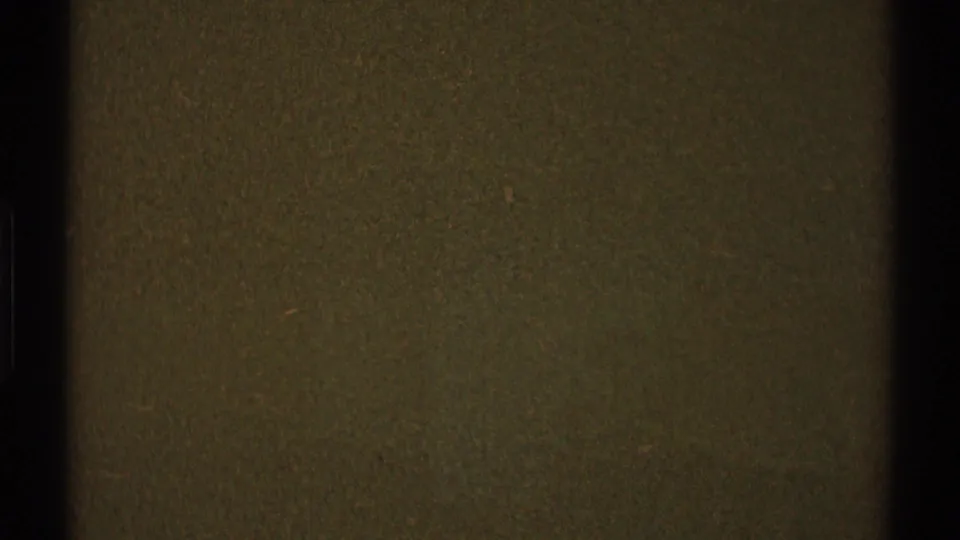 Brighter olive-toned 8mm frame with fine grain, faint scratches, scattered specks, and darkened film edges.