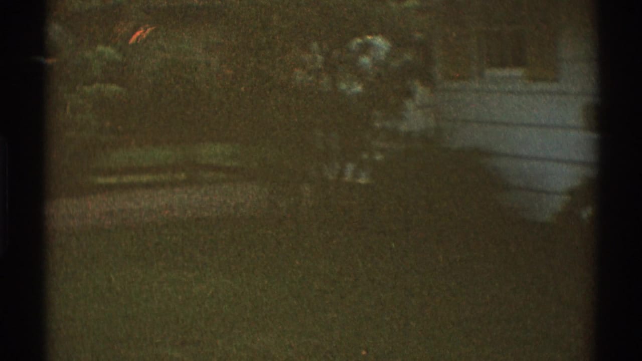 1969 Los Angeles home-movie frame showing a shadowed grassy area with shrubs, trees, and a pale structure in the background.