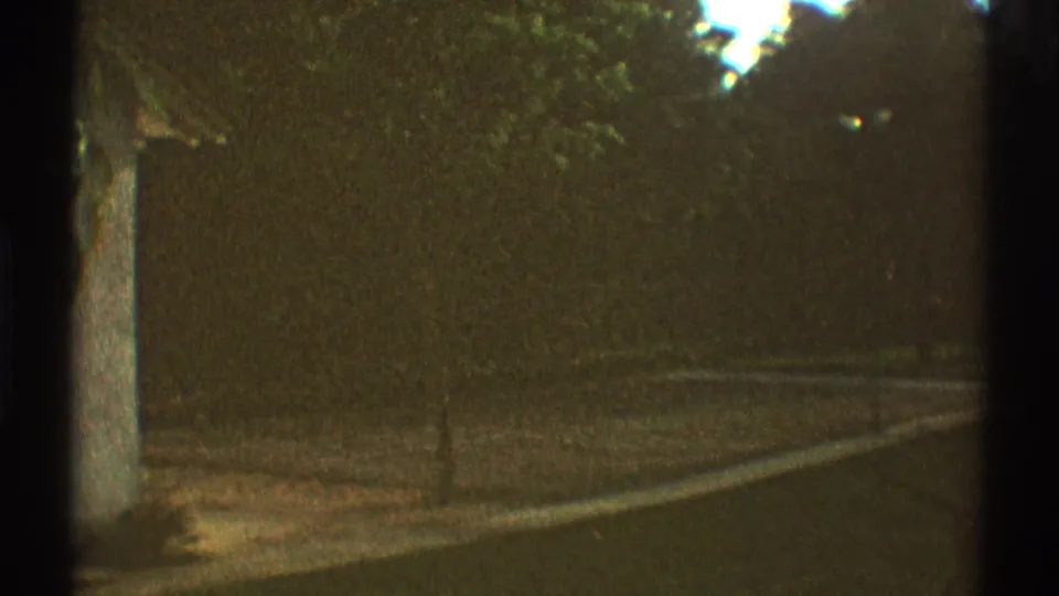 1969 Los Angeles frame with a tree trunk beside grass, dense shrubs, and a curving path or driveway in warm 8mm color.