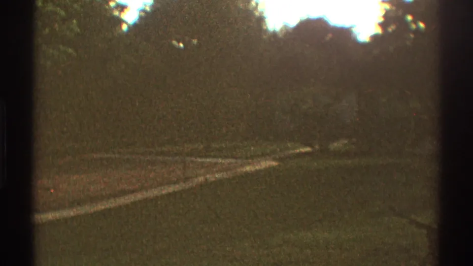Soft 1969 Los Angeles home-movie view of grass, a pale curving path or driveway, and dense trees under bright sky.