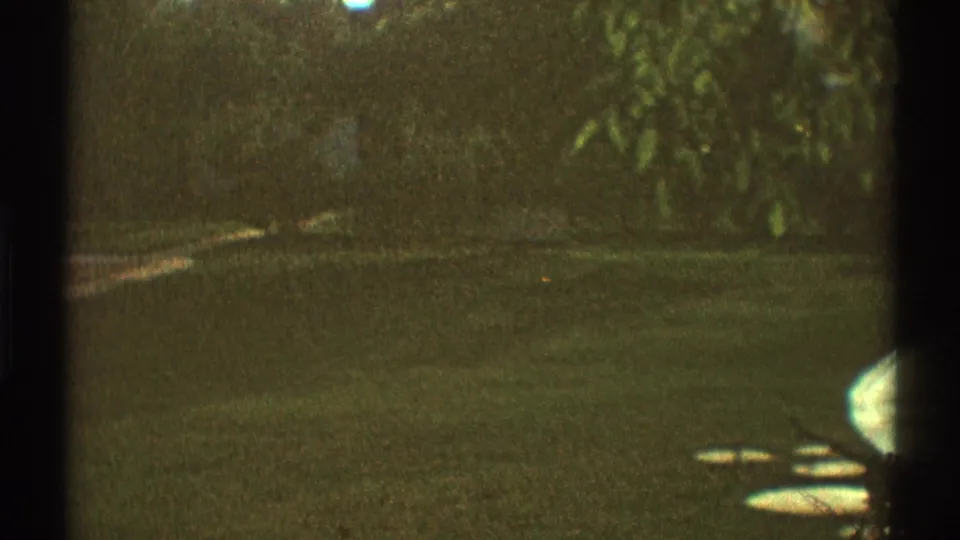 1969 Los Angeles 8mm frame showing leafy shrubs over grass, tree shade, and bright sun patches at the frame edge.