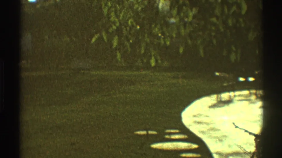 1969 Los Angeles home-movie frame showing a shaded wooded backyard, lawn, and part of a sunlit curved pool patio.