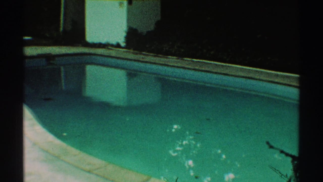 Turquoise backyard pool at night with pale edge, reflected house shape, and dark foliage.