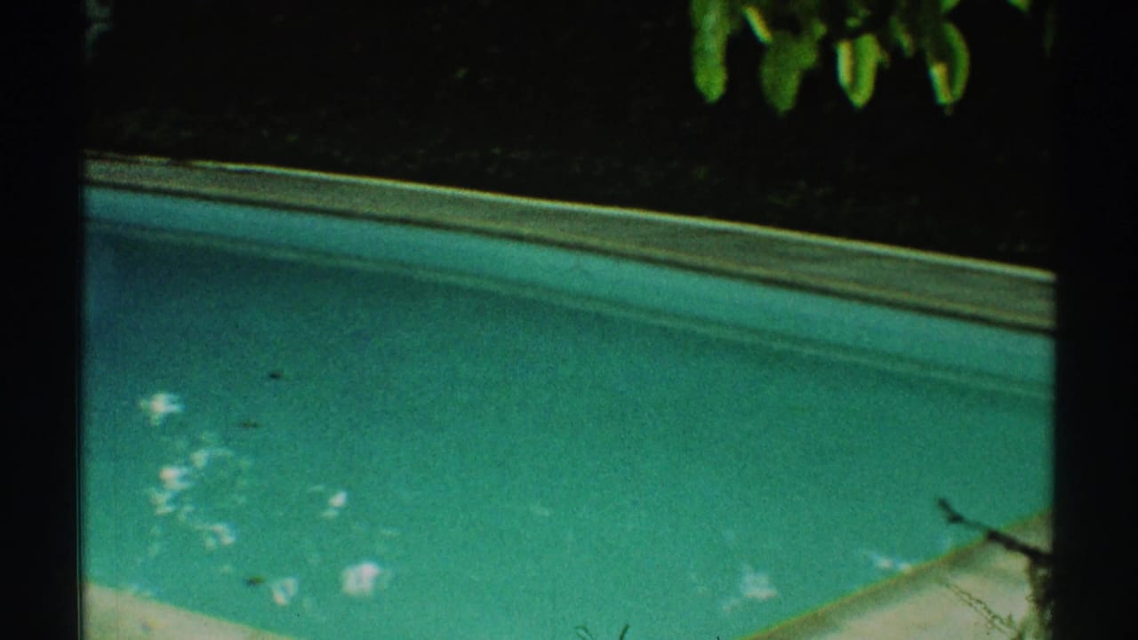 Pool water and curved edge at night with bright reflections and dark foliage above.
