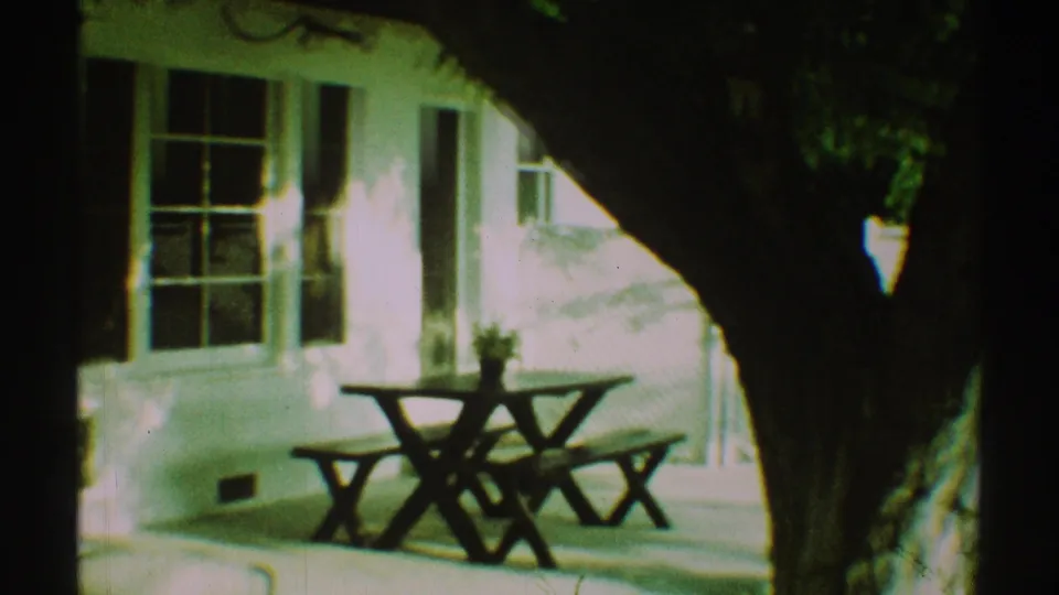 A wooden picnic table sits on the shaded porch near a residential window, with a large tree trunk crossing the foreground.