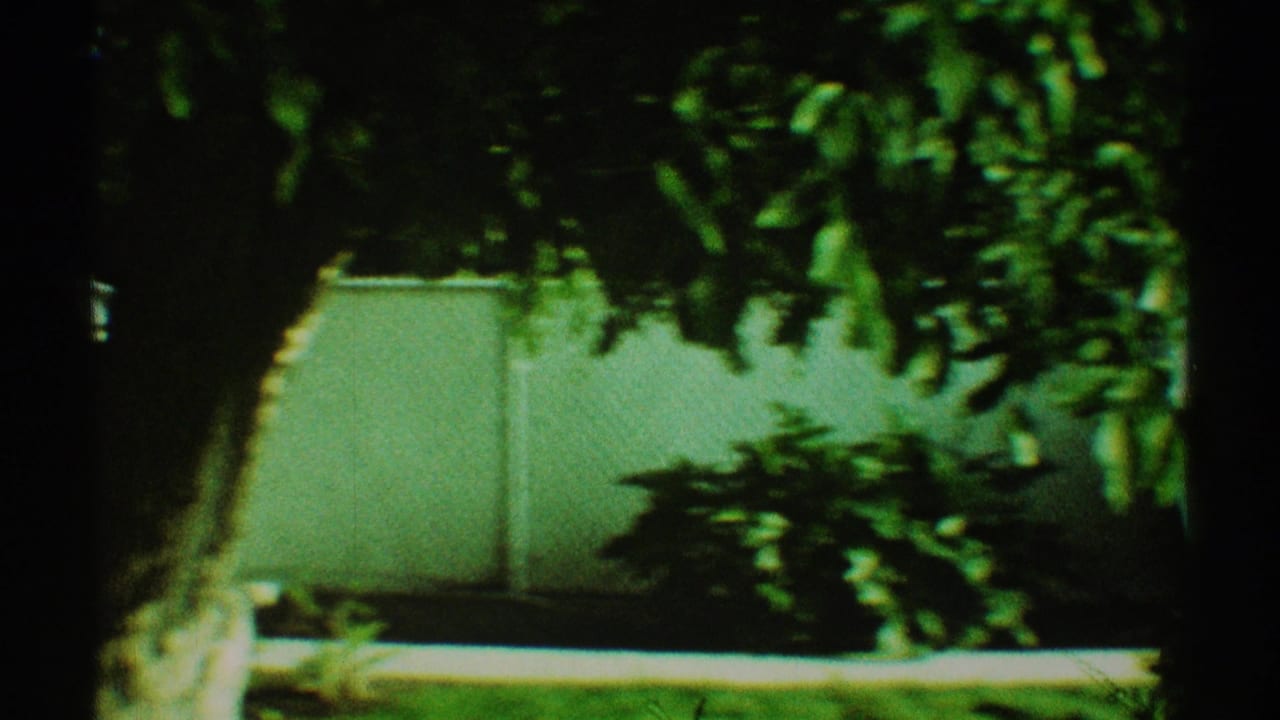 1969 Los Angeles home-movie frame showing shaded trees, a pale exterior wall, lawn, and shrubs in a backyard setting.