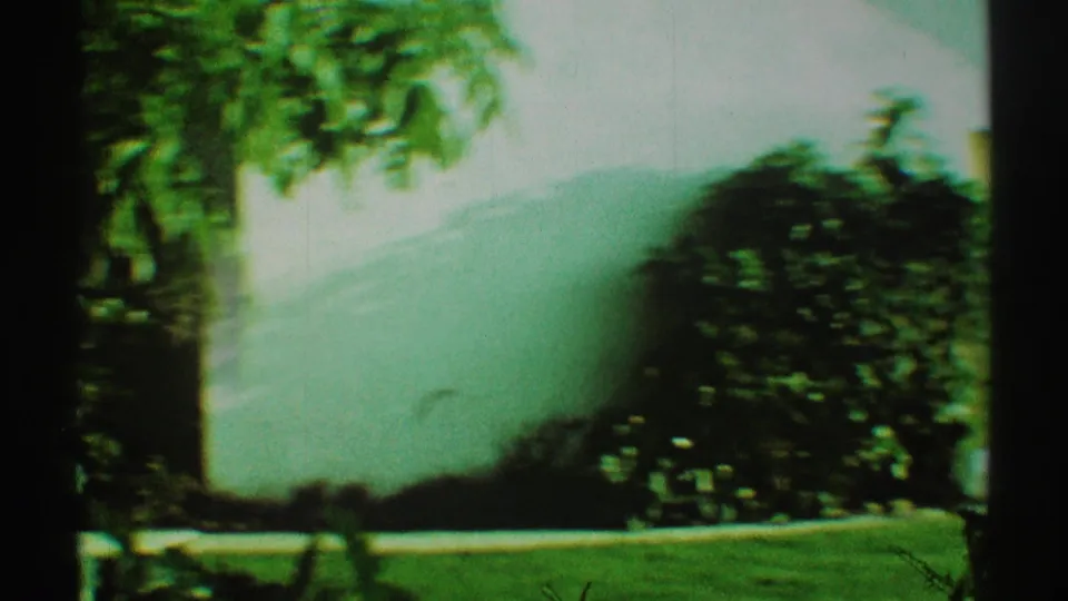 1969 Los Angeles backyard view with tree trunks, green lawn, bushes, and a pale wall softened by 8mm color shift.