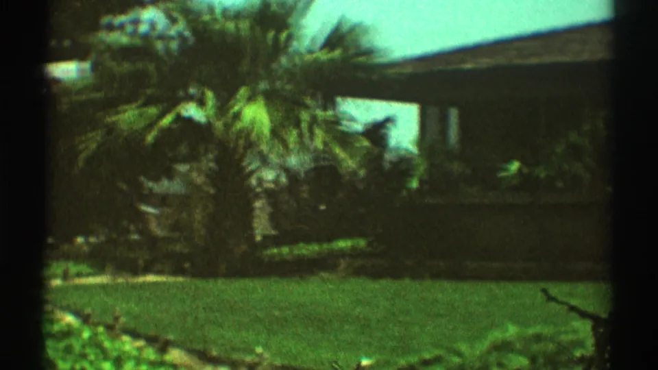1969 Los Angeles home-movie frame with a palm tree, green lawn, shrubs, and part of a residential roofline.