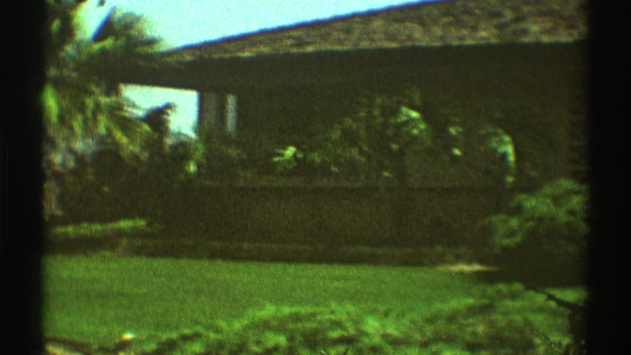 Brown single-story house behind a green lawn with palm trees and dark film edges.