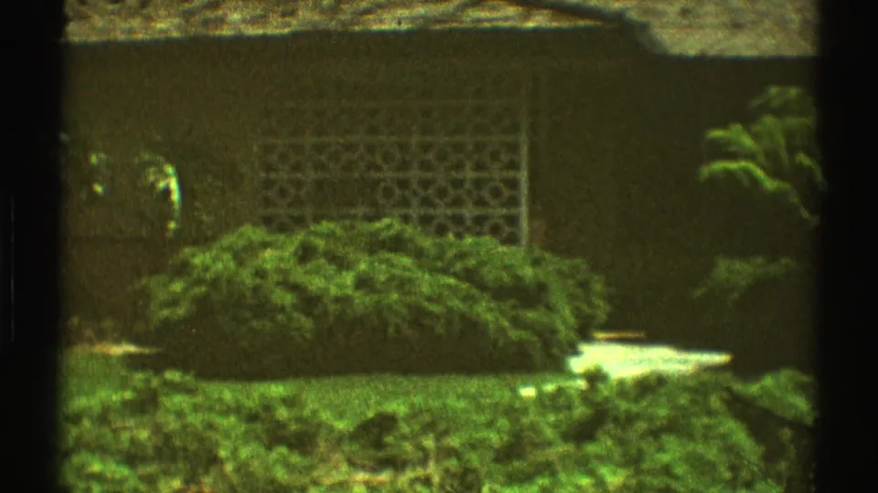 1969 Los Angeles exterior view of a brown house with decorative screen wall, shrubs, lawn, and palm foliage.
