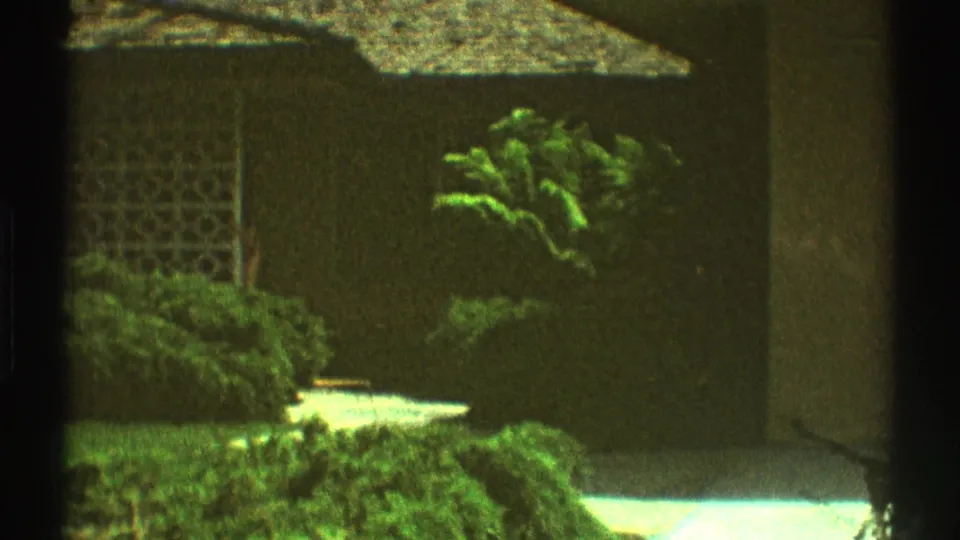 1969 Los Angeles home-movie frame showing the house corner, decorative wall, shrubs, lawn, and palm fronds.
