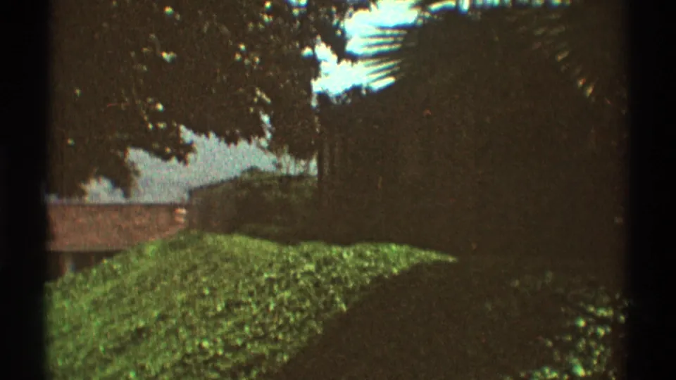 1969 Los Angeles 8mm frame showing green lawn, dense shrubs, tree shade, and a partial residential roofline under bright sky.
