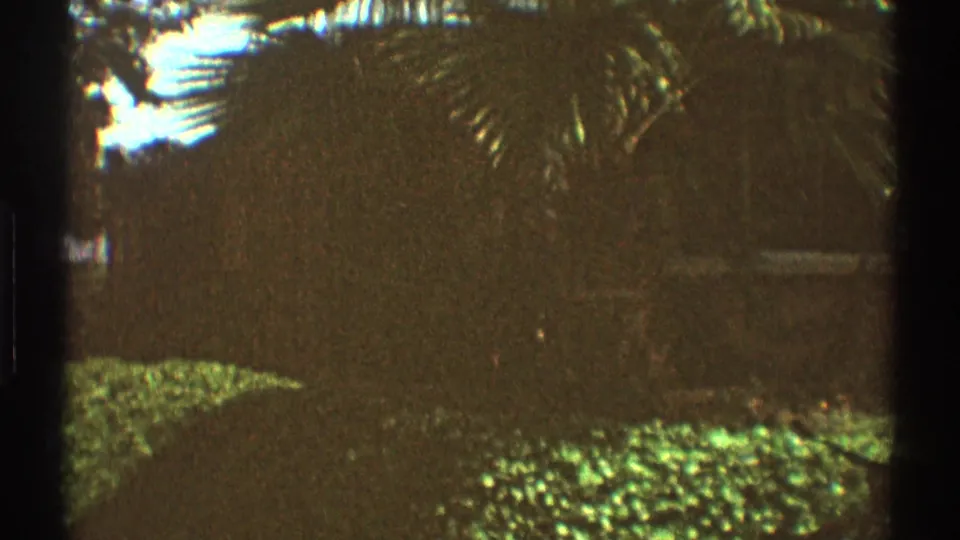 1969 Los Angeles home-movie frame of a residential backyard with lawn, shrubs, leafy branches, and bright sky glimpses.