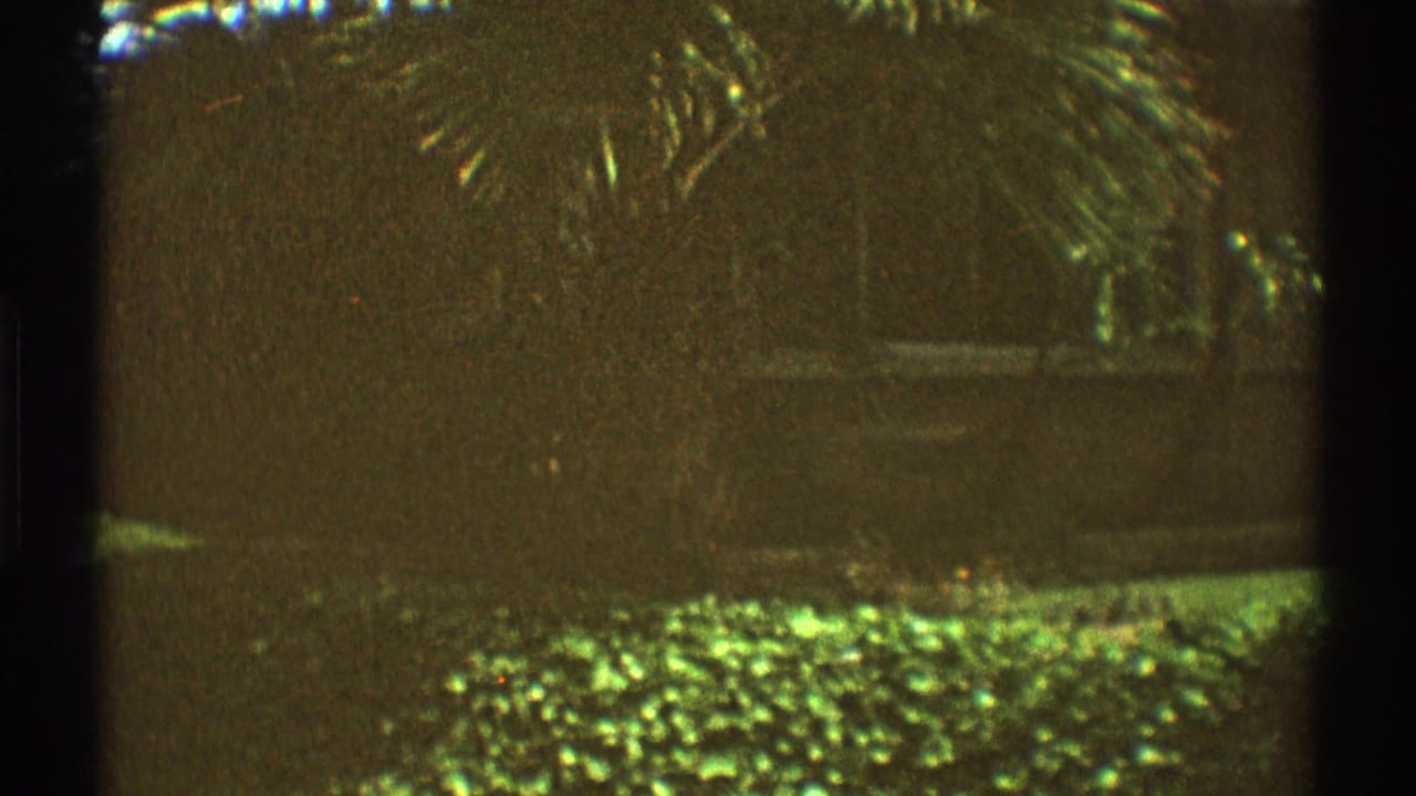 1969 Los Angeles 8mm frame showing palm fronds, thick shrubbery, lawn, and a brick wall in soft green-yellow light.