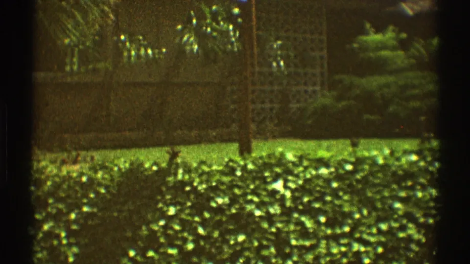 1969 Los Angeles 8mm frame with a trellis-like panel, brick wall, lawn, shrubs, and partial house exterior behind greenery.