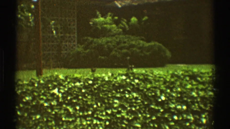 1969 Los Angeles home-movie frame showing lawn, low hedge, brick wall, trellis panel, and residential greenery.
