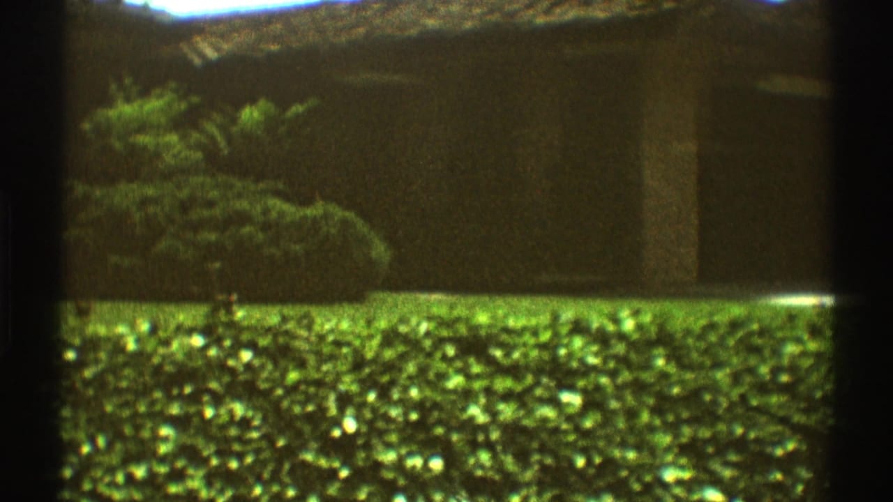 Lawn and dense shrubs in front of a low house, with dark film gate edges.