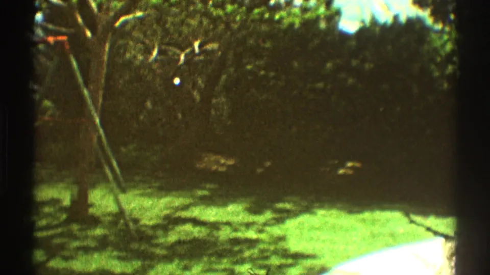 1969 Los Angeles home-movie frame showing a sunlit lawn, tree branches, deep shadows, and a fenced backyard.