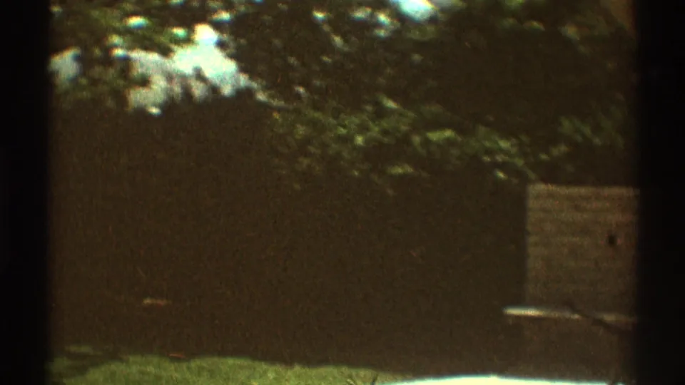 1969 Los Angeles backyard view with dense shade, a wooden fence, and a small light-colored structure near the right edge.