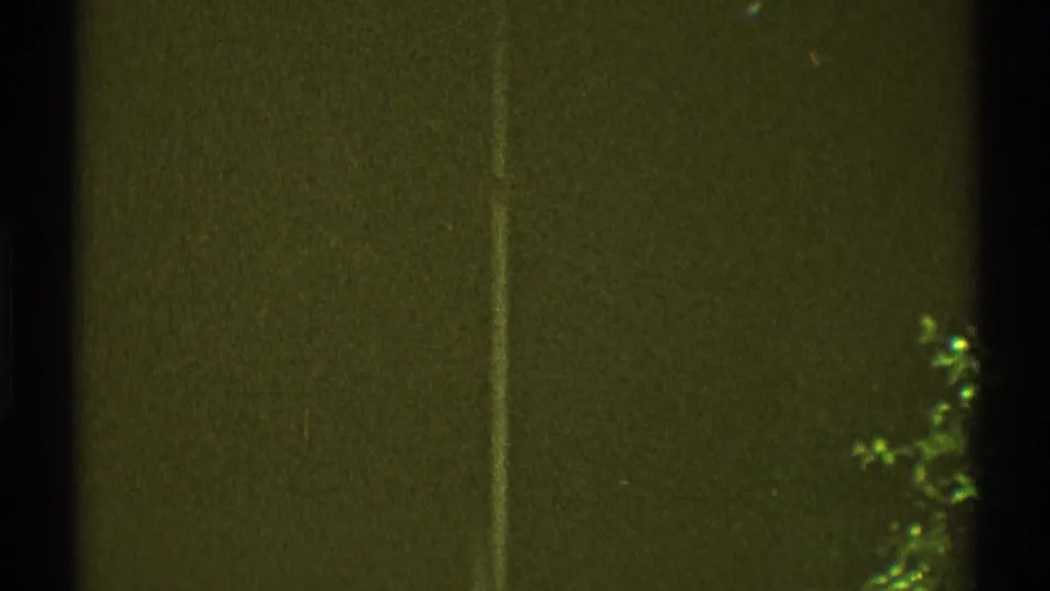 1969 Los Angeles 8mm frame showing a shadowed exterior wall, pale vertical line, and small plant at lower right.