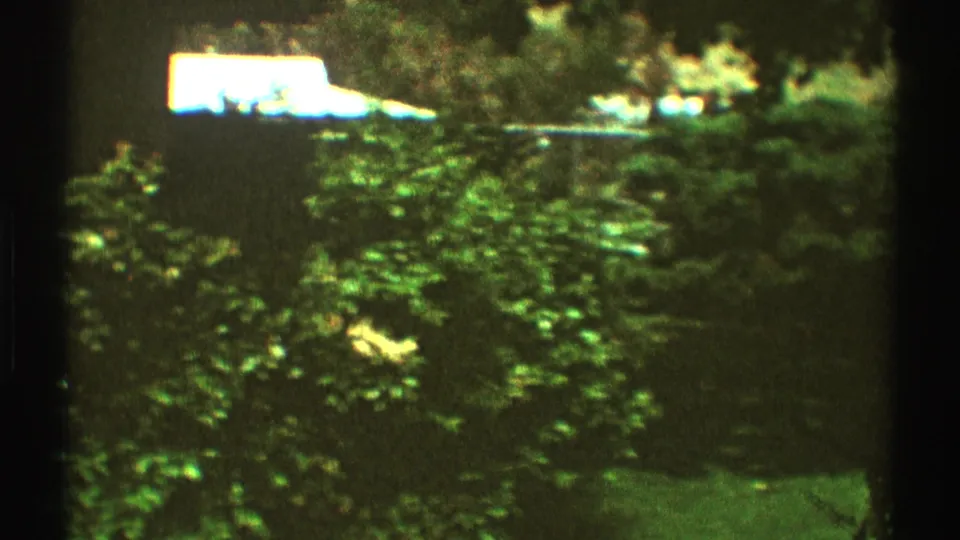 1969 Los Angeles backyard view with dense shrubs, trees, and a bright overexposed area above the foliage.