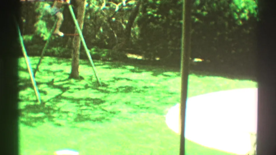 1969 Los Angeles 8mm backyard frame showing sunlit lawn, tree trunks or poles, and dense greenery behind.