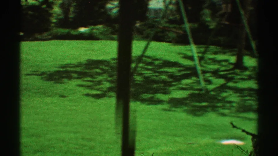1969 Los Angeles backyard frame with shaded green lawn, trees, shrubs, and a visible metal swing set at the side.