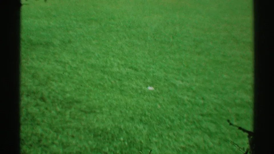 1969 Los Angeles 8mm frame with a close, soft view of sunlit grass bordered by dark foreground posts or window edges.