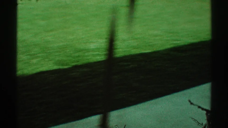 1969 Los Angeles home-movie frame showing a shaded lawn and patio edge, partially blocked by dark vertical foreground elements.