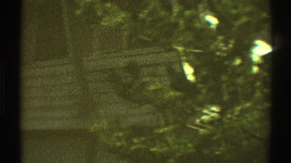 Soft 8mm frame of a Los Angeles house exterior, with siding and bright foreground leaves obscuring part of the view.