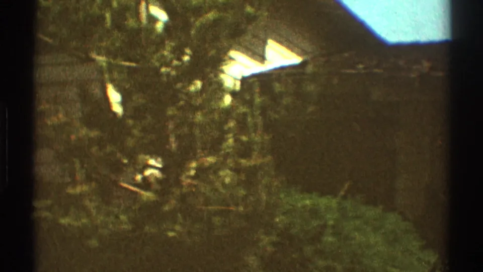 1969 Los Angeles home-movie view of dense shrubs, a roof edge, and a shadowed residential wall.