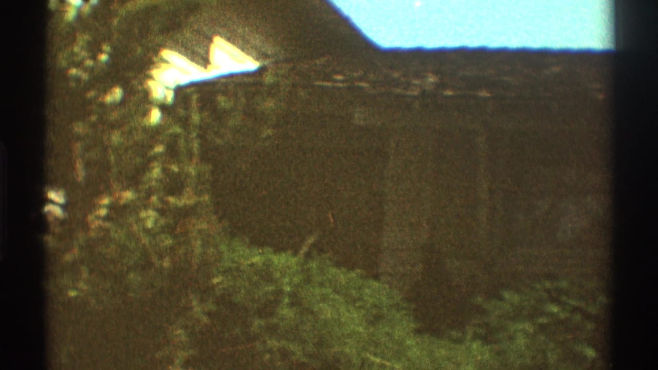 1969 Los Angeles 8mm frame showing a partially obscured roofline, leafy yard growth, and bright sky.