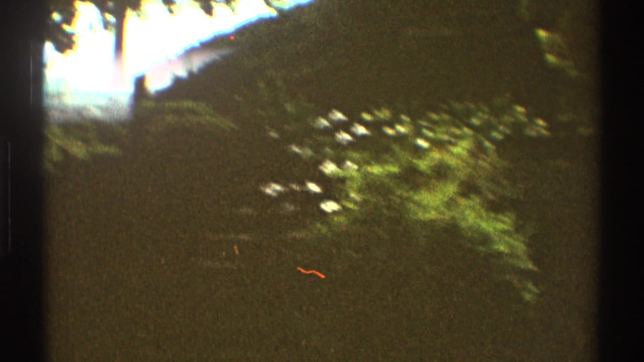 Dark foreground tree and leafy hillside with distant green landscape beyond.
