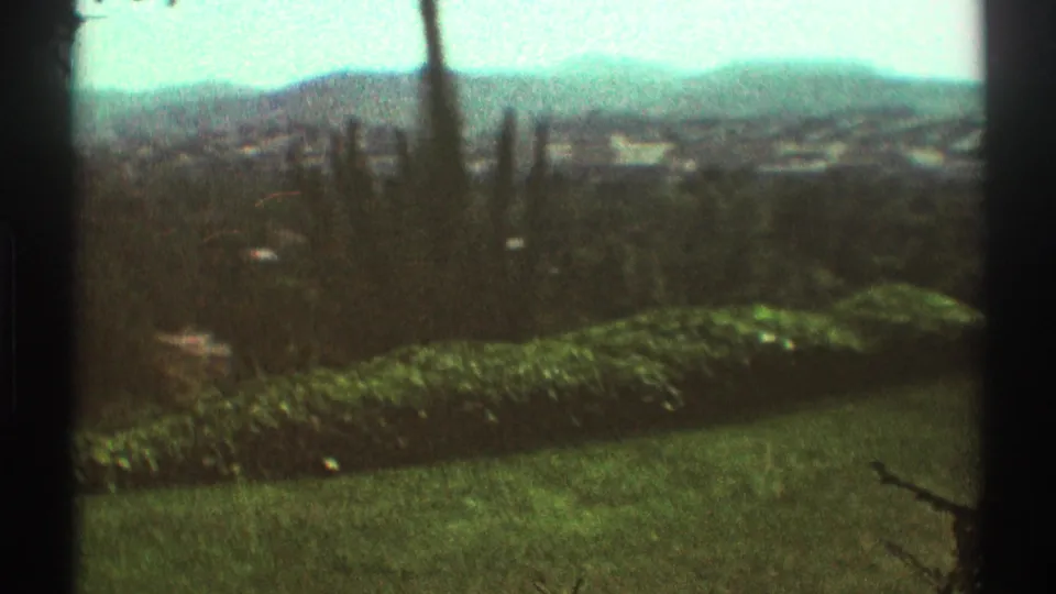 1969 Los Angeles-area home-movie frame showing lawn, shrubs, tree trunks, and a soft distant mountain view.