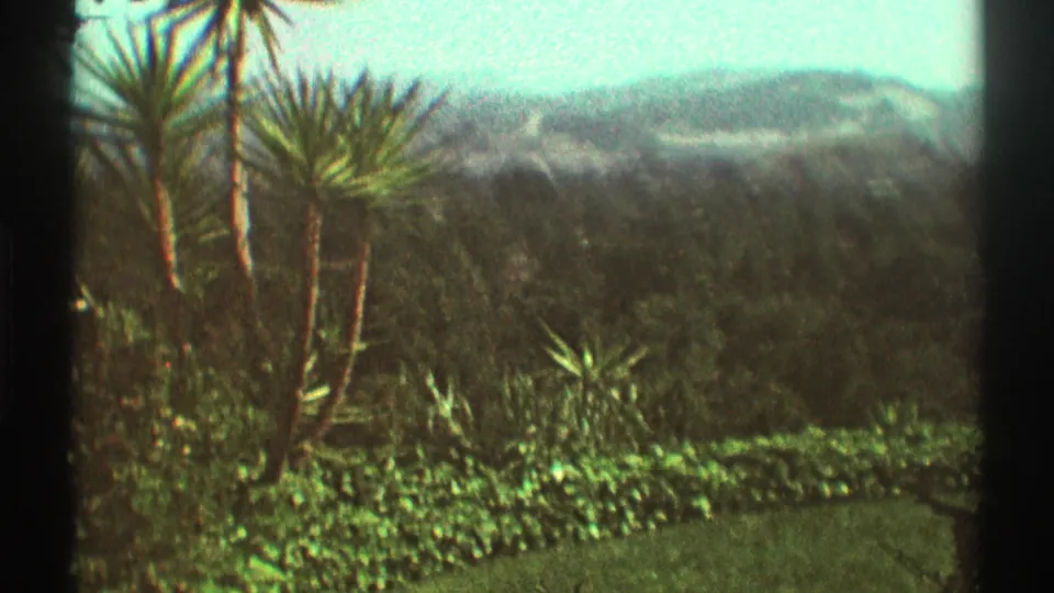 1969 8mm Los Angeles overlook with palm-like garden plants, dense greenery, a hazy valley, and distant mountains.