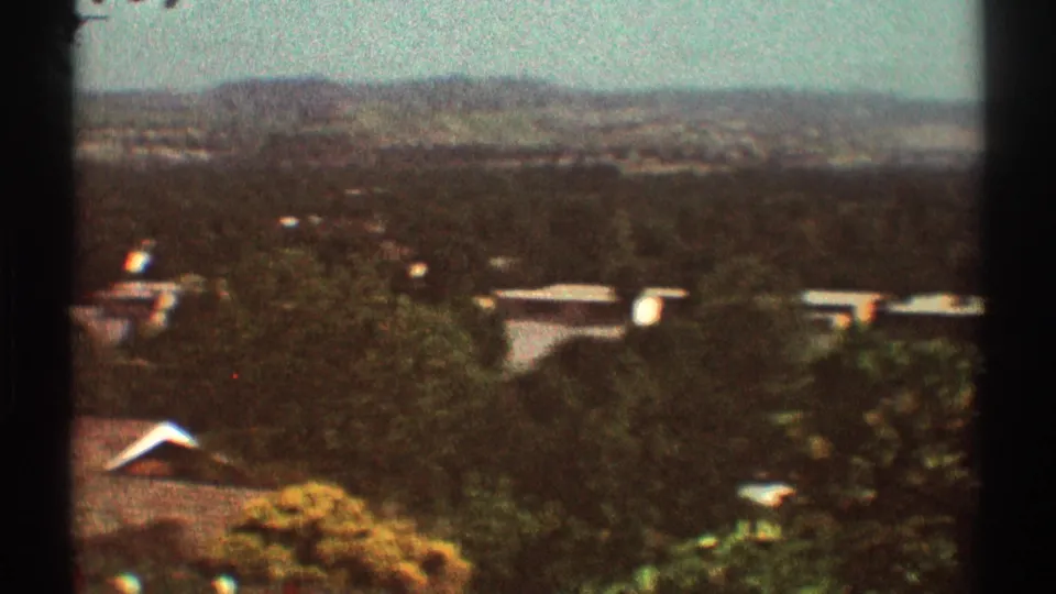 1969 Los Angeles-area hillside view showing suburban roofs, dense trees, and a hazy ridge beyond.