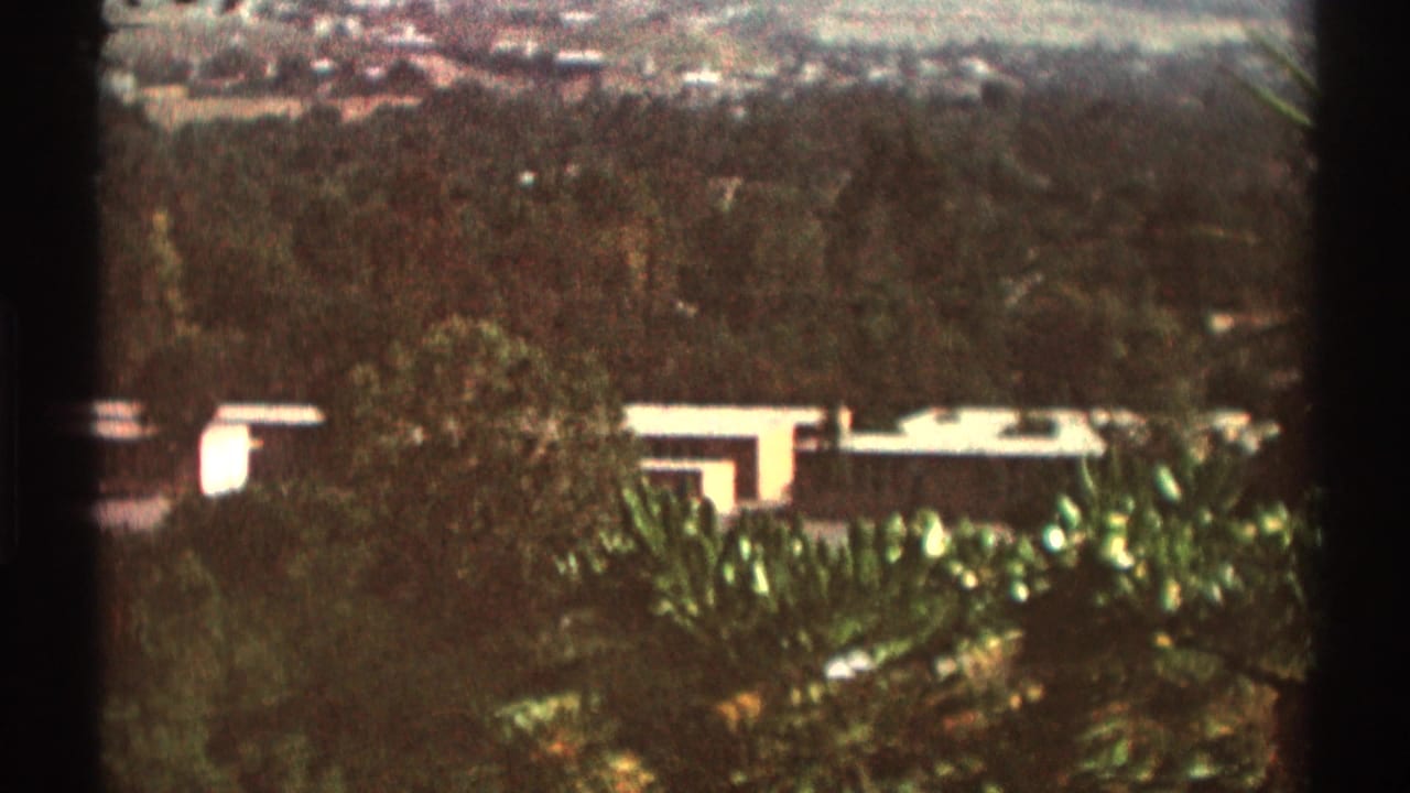 Distant house and hillside seen past dense garden plants and dark film borders.