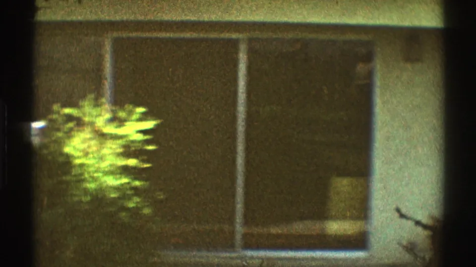 1969 Los Angeles residential view with broad windows behind plants, rendered in faded color and soft 8mm grain.