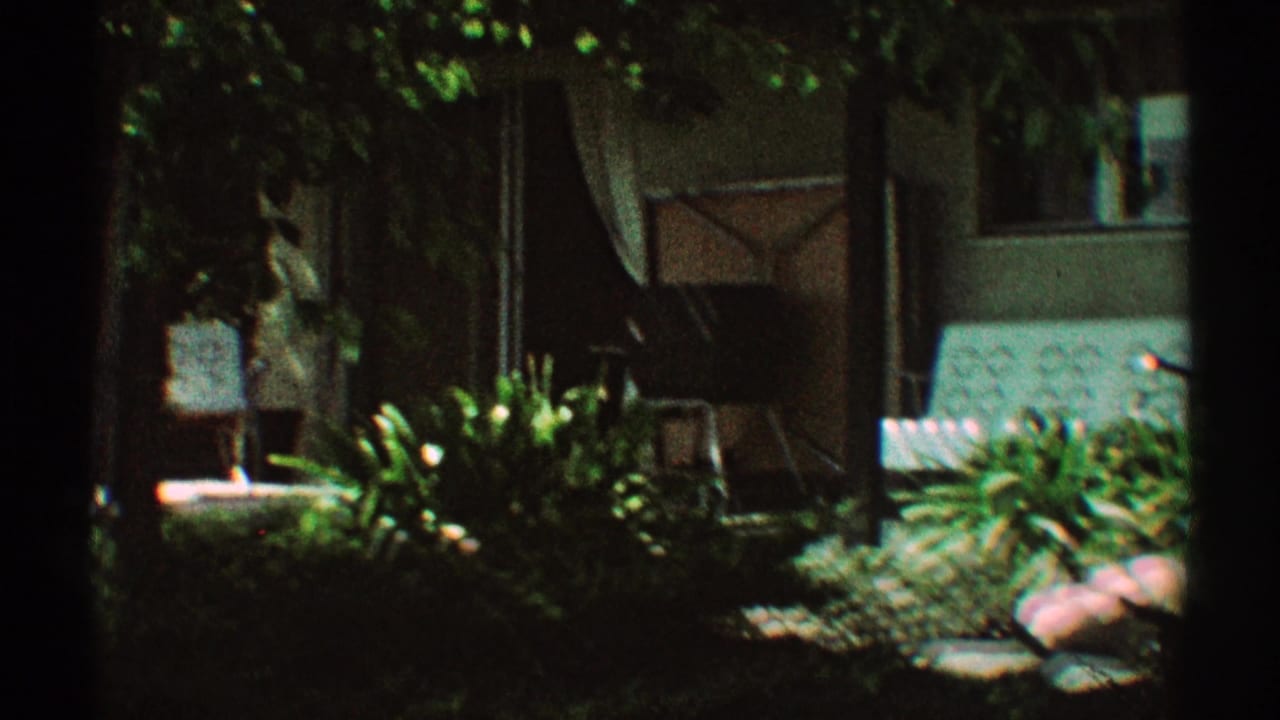 Shaded garden beside a house with lawn plants, porch furniture, and trees.