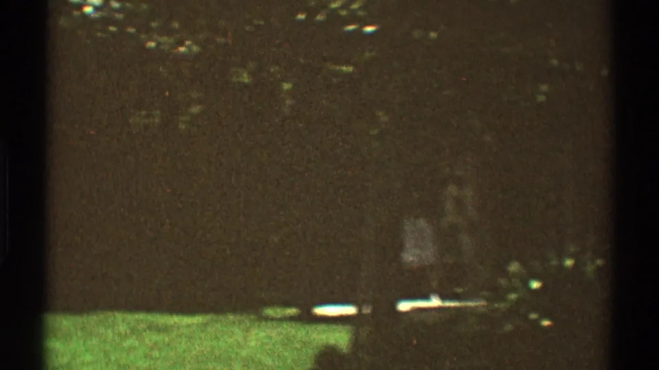 1969 Los Angeles yard scene with grass, trees, deep shade, and distant indistinct people near the background.