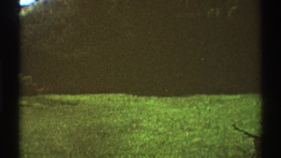 1969 Los Angeles home-movie frame showing a green backyard lawn with dark hedges and tree shade.