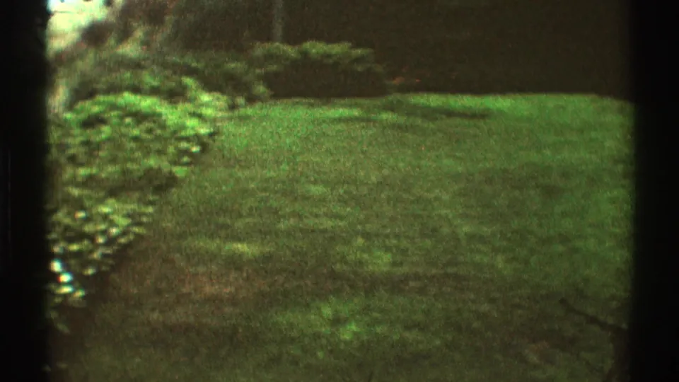1969 Los Angeles home-movie frame showing a wider view of lawn, shrubs, hedges, and trees in a residential garden.