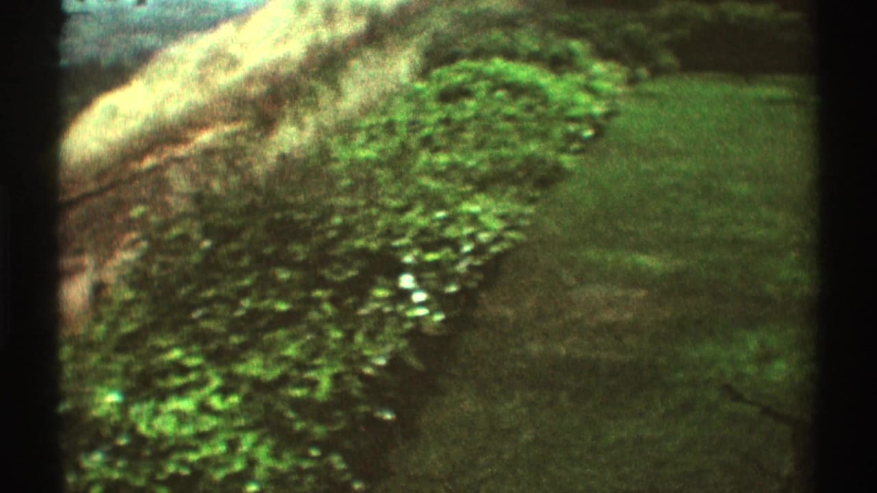 1969 Los Angeles-area aerial home-movie frame showing greenery, lawn, shrubs, and a pale slope from above.