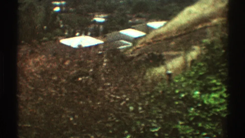 1969 Los Angeles-area aerial frame with trees, small rooftops, paved areas, and dark window framing.