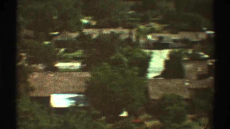 Soft 1969 Los Angeles aerial view showing rooftops, street lines, and tree cover below the moving plane.
