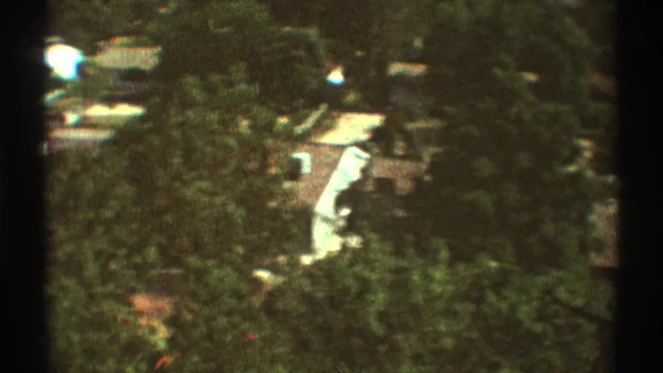 1969 Los Angeles-area aerial home-movie frame with dense trees, pale rooftops, and aircraft-window framing.